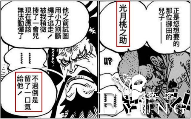 海贼王982：海迷兴奋的一话，那个人终于要死了，比凯多战败还爽-3.jpg