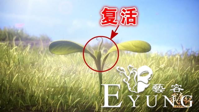 武庚纪98集先行：四大圣王联手布阵，鬼魅复活，逆天而行释放命器-5.jpg