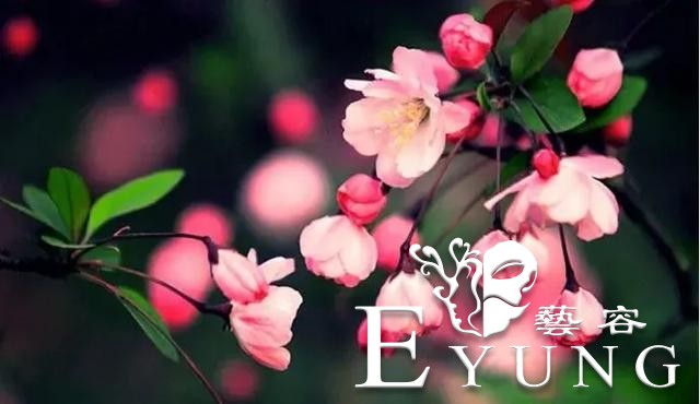 英雄回来了，海棠花开了！江北新区新晋网红已上线，我们这里见！-1.jpg