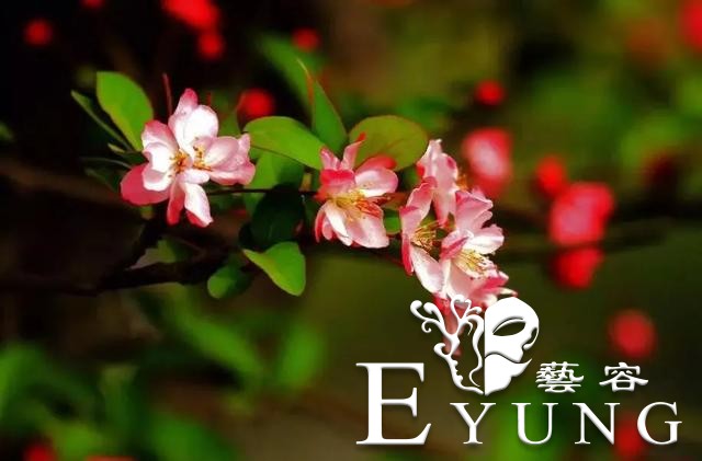 英雄回来了，海棠花开了！江北新区新晋网红已上线，我们这里见！-5.jpg