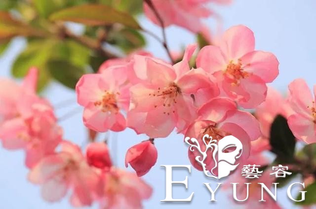 英雄回来了，海棠花开了！江北新区新晋网红已上线，我们这里见！-6.jpg
