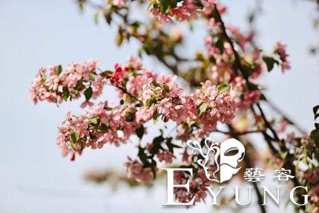 英雄回来了，海棠花开了！江北新区新晋网红已上线，我们这里见！-8.jpg
