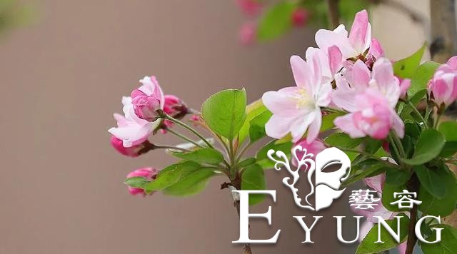英雄回来了，海棠花开了！江北新区新晋网红已上线，我们这里见！-7.jpg