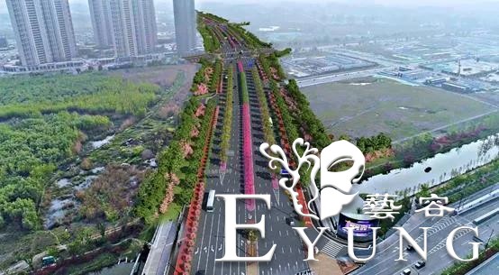 英雄回来了，海棠花开了！江北新区新晋网红已上线，我们这里见！-11.jpg