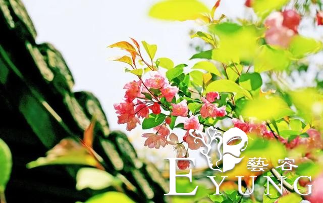 英雄回来了，海棠花开了！江北新区新晋网红已上线，我们这里见！-32.jpg