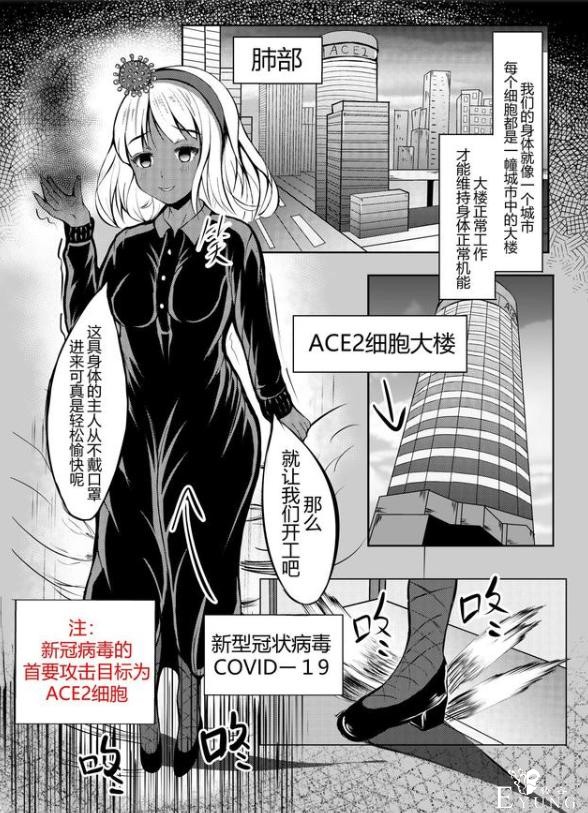 日本推出纪念文件夹，大熊猫变身萌妹子，结果是中国大使馆画的-4.jpg