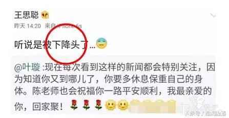 她是《天下第一》中的海棠，曾公开称看不上王思聪如今戏少话多-5.jpg