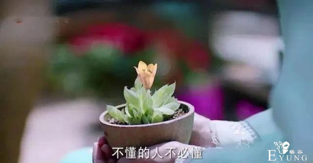 《海棠》剧情太扯，女主遭吐槽，但观众还是看得真香-9.jpg