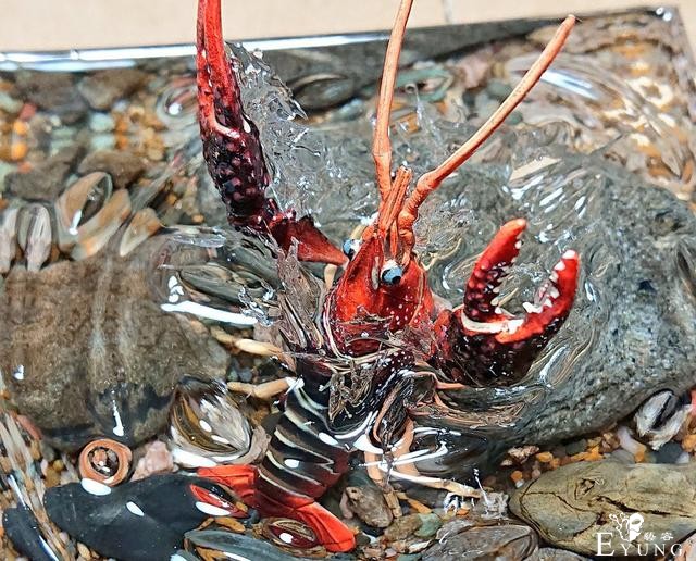 日本网友做了个小龙虾手办，放大看，水花都清晰可见-1.jpg