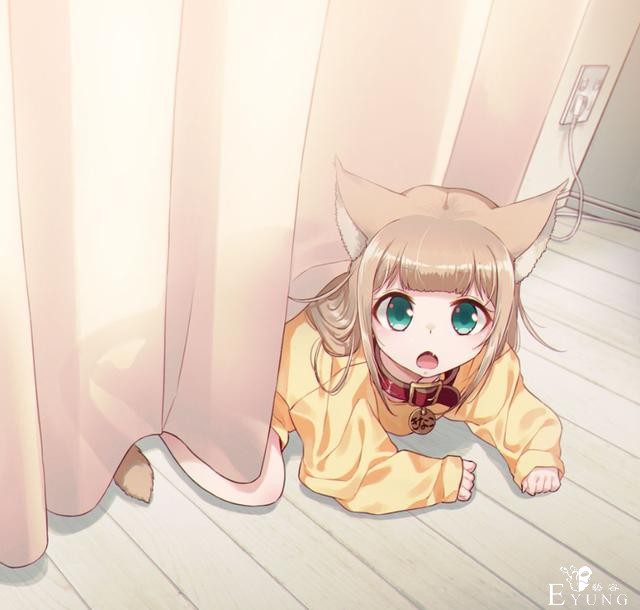那只火遍动漫圈的猫耳娘原型曝光！真的是作者家养的猫-11.jpg