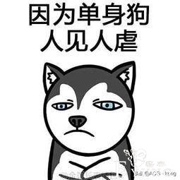 二次元不过情人节？真正的ACG爱好者是这样过情人节的-1.jpg