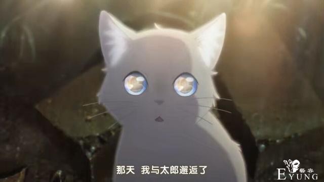 冈田麿里的新动画可以让我再爱一次，只是没有以往那般深沉-3.jpg