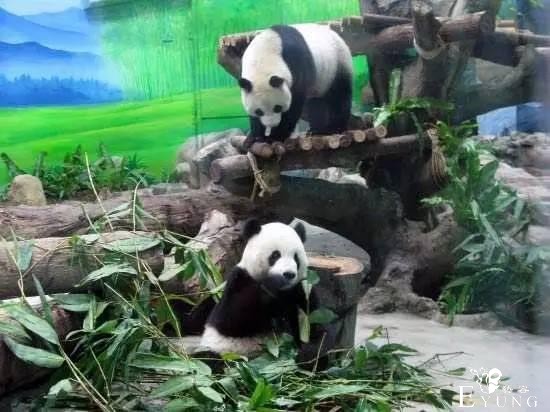台湾媳妇推荐，当地最适合亲子游去的12个好地方-3.jpg