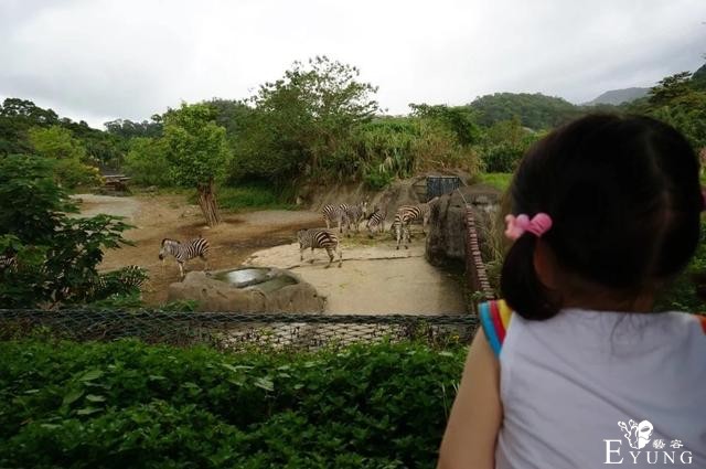 台湾媳妇推荐，当地最适合亲子游去的12个好地方-4.jpg