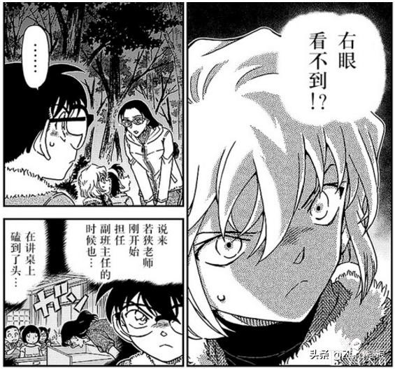 黑衣组织的阴谋——人鱼案与组织有什么关系-5.jpg