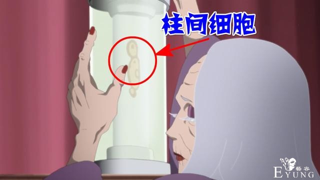 《博人传》玩新花样，“柱间细胞”变美容细胞，初代火影表示无语-2.jpg