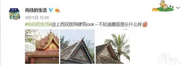 《向往》开录，网曝已录嘉宾和拟邀差距大，被吐槽无聊气息重-25.jpg