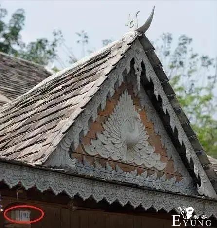 《向往》开录，网曝已录嘉宾和拟邀差距大，被吐槽无聊气息重-26.jpg