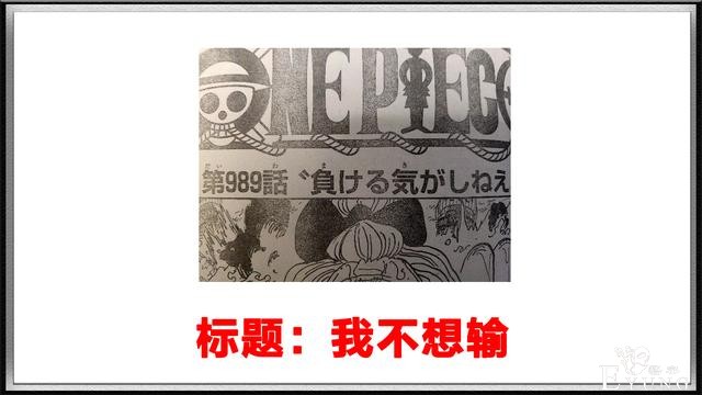 海贼王989话情报，大伏笔出现，凯多的手下出现古代巨人族-2.jpg