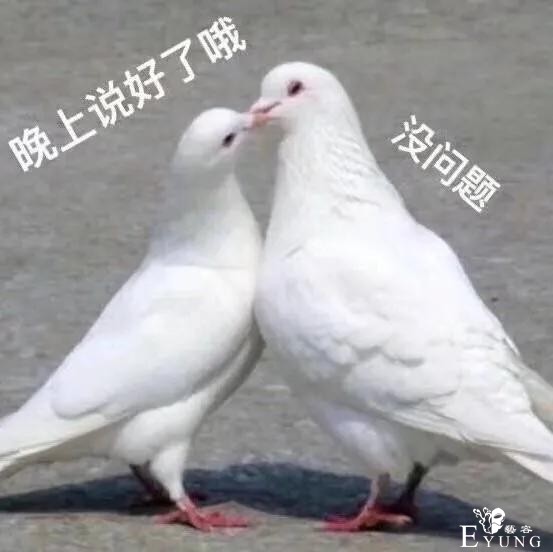 x音女网红“火辣变装”视频被10w条恶评炮轰？！良心不会痛吗-1.jpg