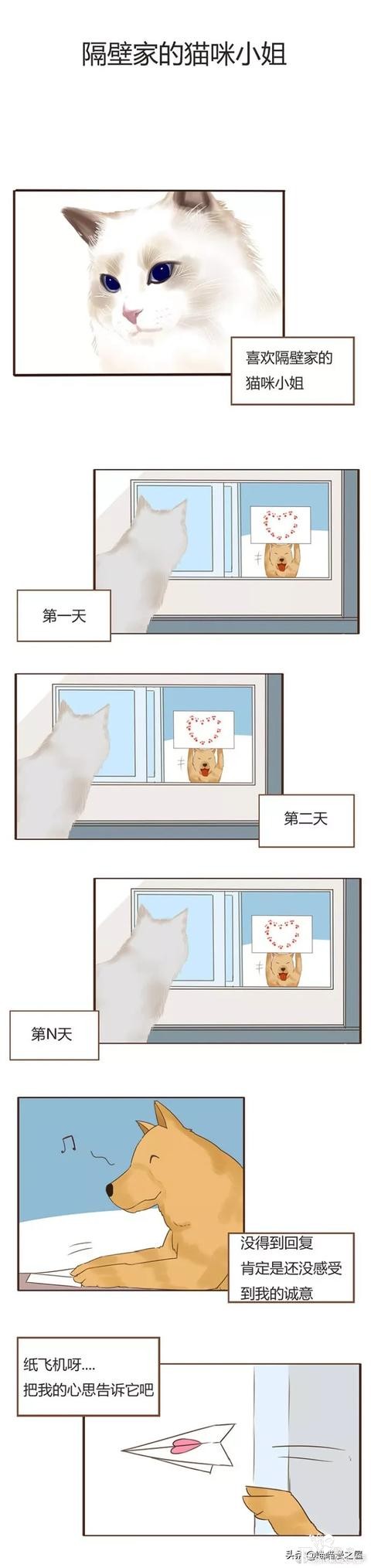 漫画《表白》这位喵咪小姐越看越爱了-1.jpg