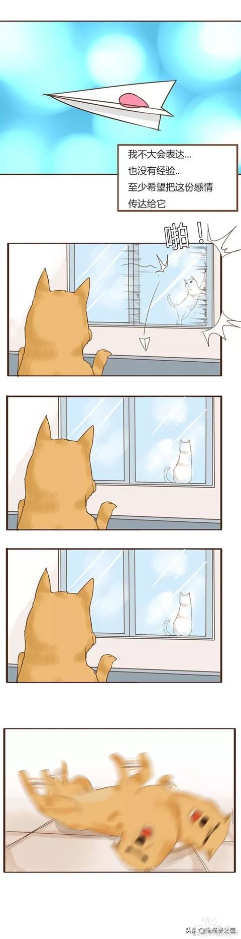 漫画《表白》这位喵咪小姐越看越爱了-2.jpg