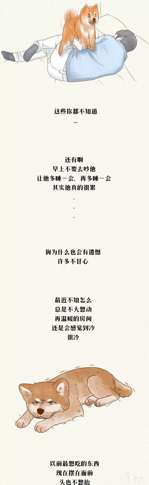 人性漫画《一条狗》下辈子，你还愿不愿意跟我在一起-7.jpg