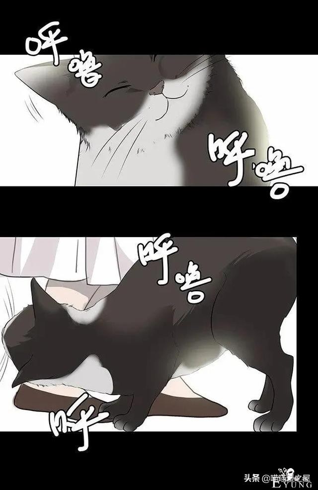 暖心短漫《重逢》，在坟墓边上长出来的西瓜能吃吗？-36.jpg