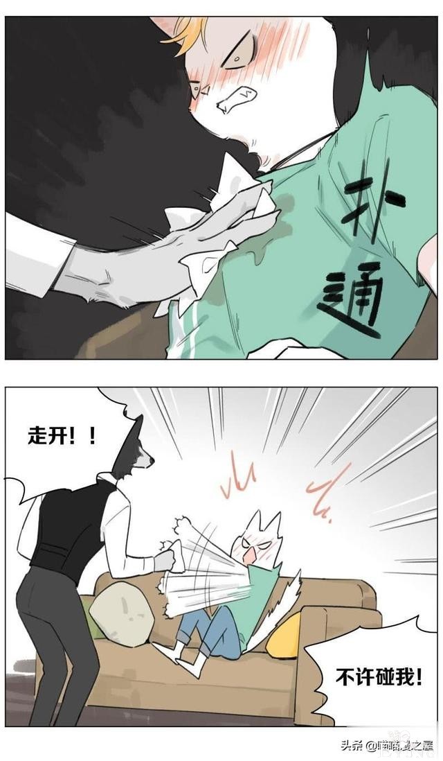 当管家狼遇上猫少爷后，一段又腐又甜的故事发生了-3.jpg
