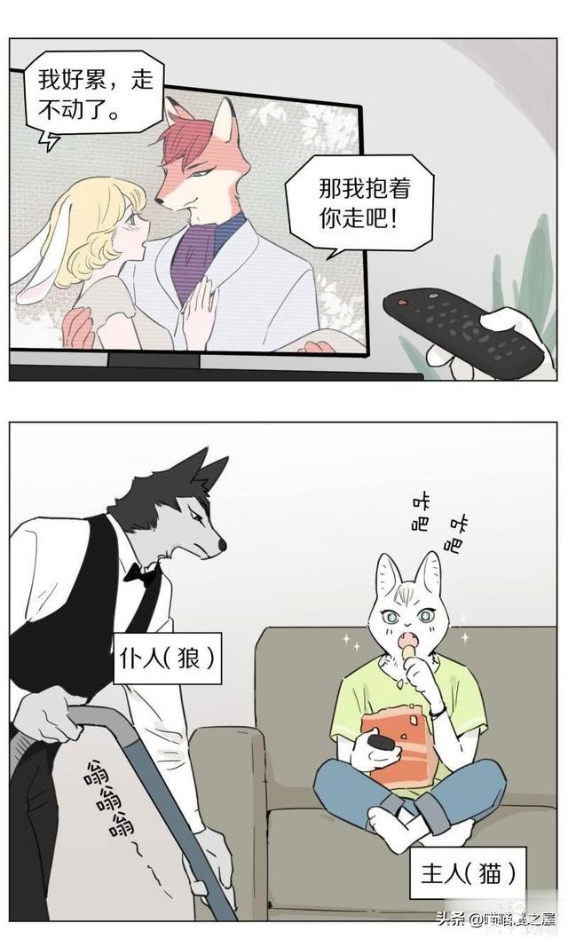 当管家狼遇上猫少爷后，一段又腐又甜的故事发生了-7.jpg