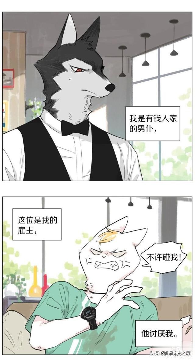 当管家狼遇上猫少爷后，一段又腐又甜的故事发生了-4.jpg