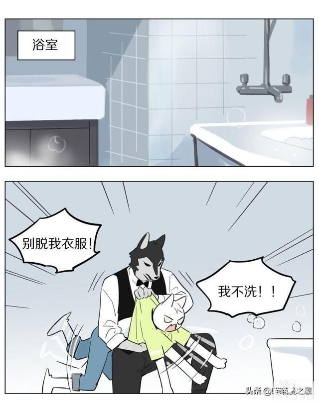 当管家狼遇上猫少爷后，一段又腐又甜的故事发生了-17.jpg