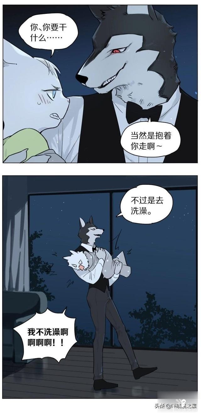 当管家狼遇上猫少爷后，一段又腐又甜的故事发生了-13.jpg