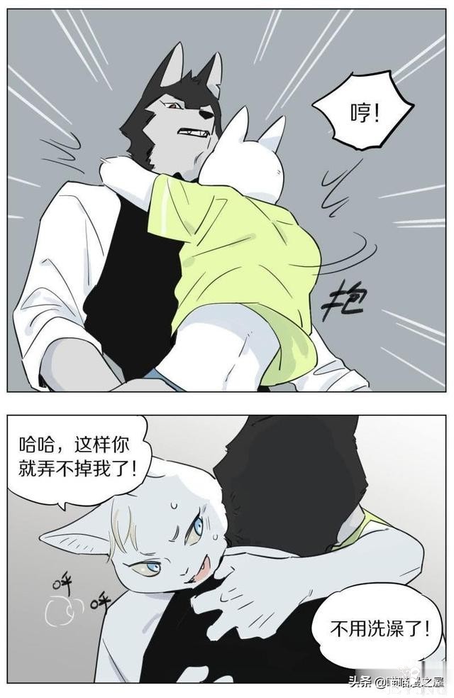 当管家狼遇上猫少爷后，一段又腐又甜的故事发生了-18.jpg