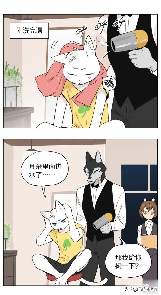 当管家狼遇上猫少爷后，一段又腐又甜的故事发生了-21.jpg