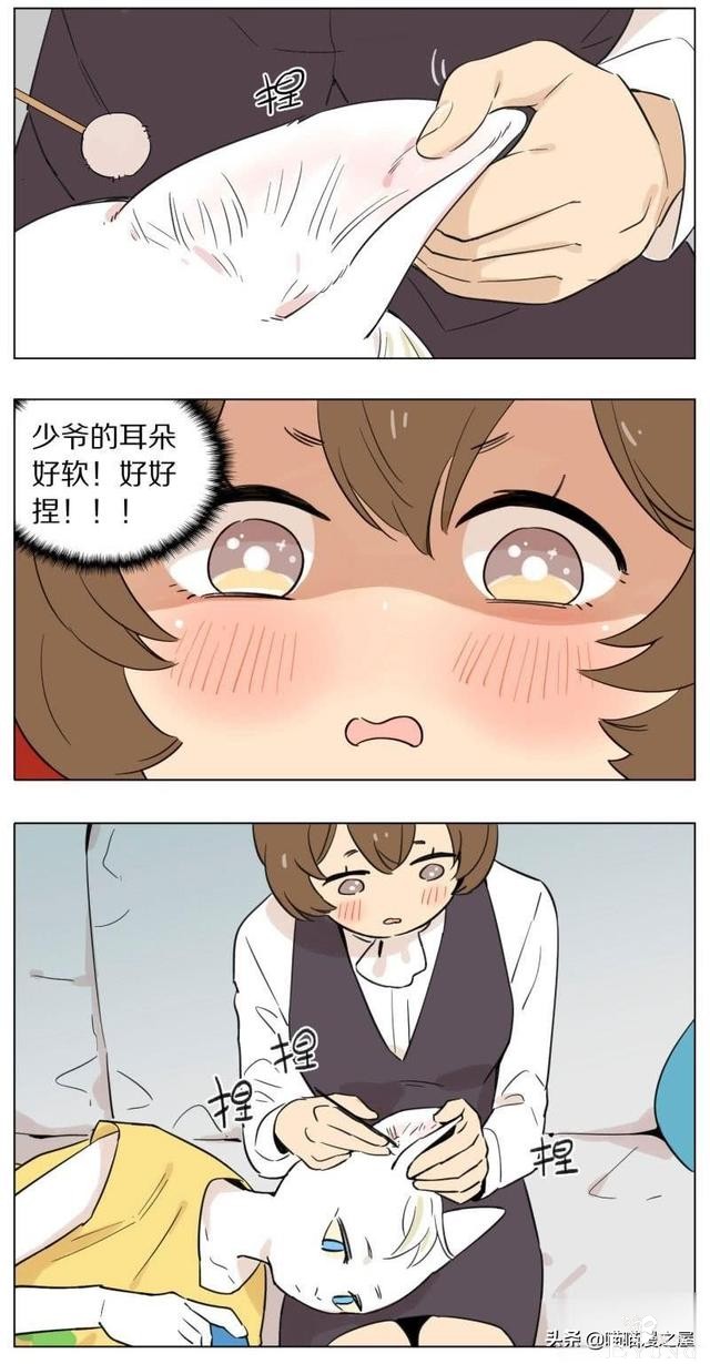 当管家狼遇上猫少爷后，一段又腐又甜的故事发生了-23.jpg