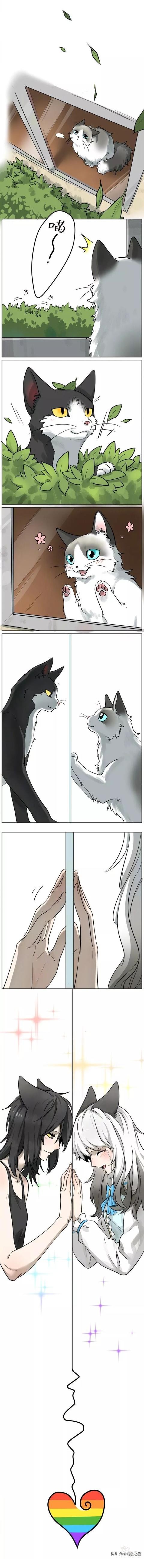 漫画：猫咪间的甜美爱情-2.jpg