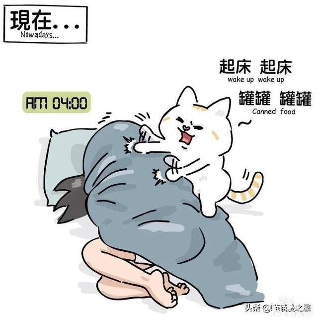 短漫 |很多的绝境是没有希望的-13.jpg