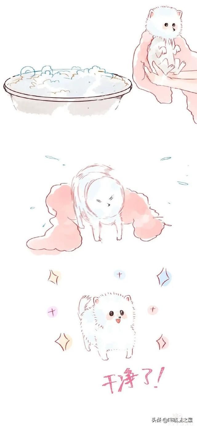 狗狗洗澡的隐秘事情（漫画）-2.jpg