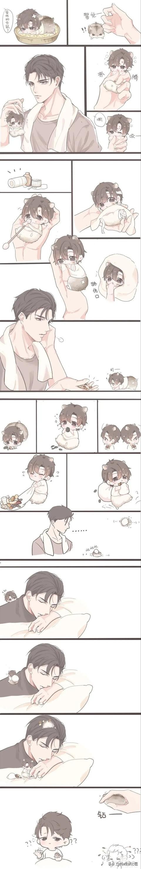 「萌漫」这个也太可爱了吧！小仓鼠宝宝-1.jpg