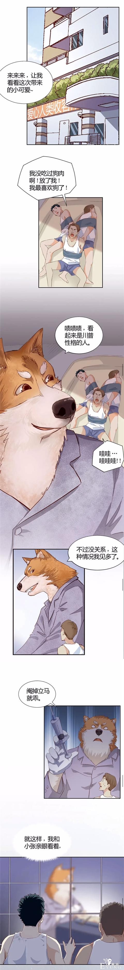 人性漫画《饲养》一觉醒来，世界被动物统治了我被迫被割了蛋-8.jpg