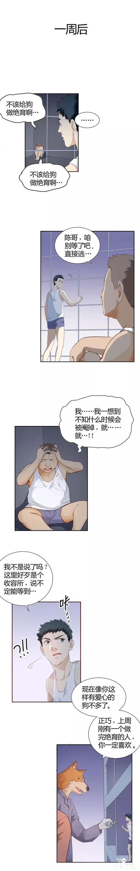 人性漫画《饲养》一觉醒来，世界被动物统治了我被迫被割了蛋-10.jpg