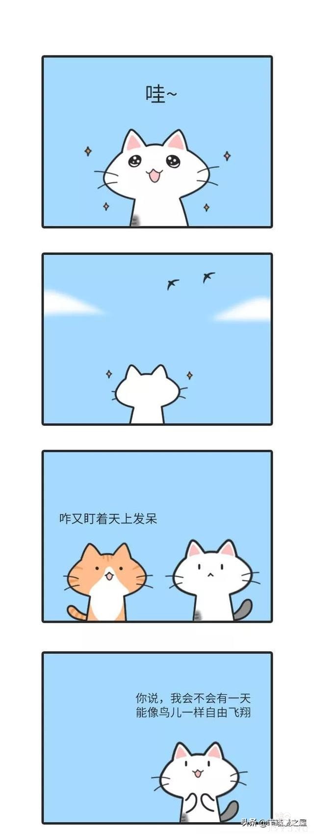 漫画：别傻了，宠物不会传播-1.jpg