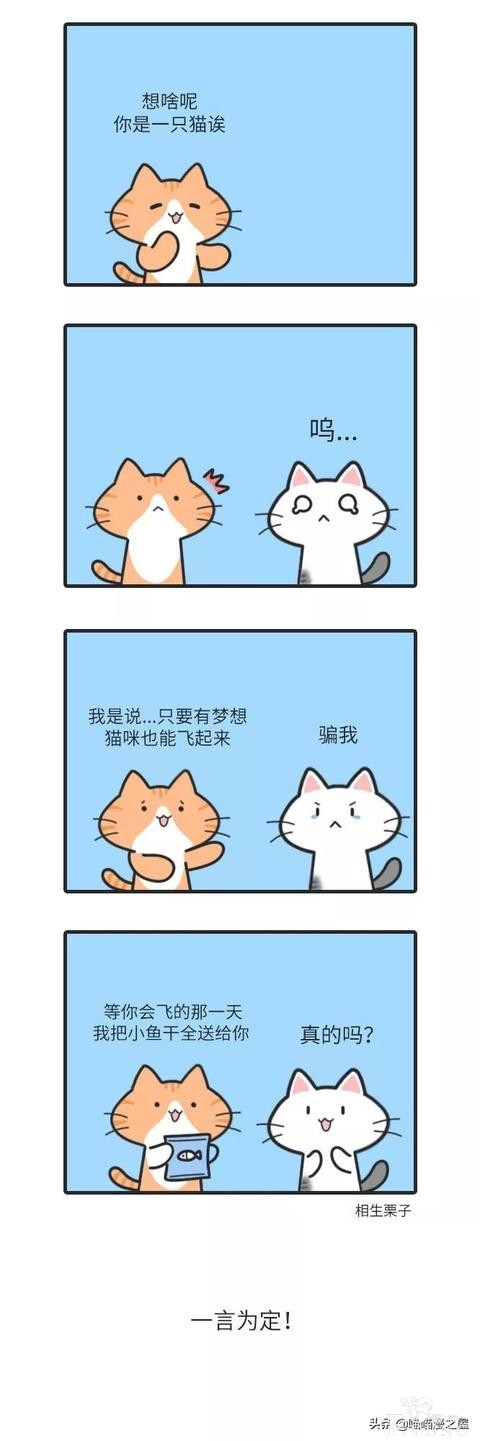 漫画：别傻了，宠物不会传播-2.jpg