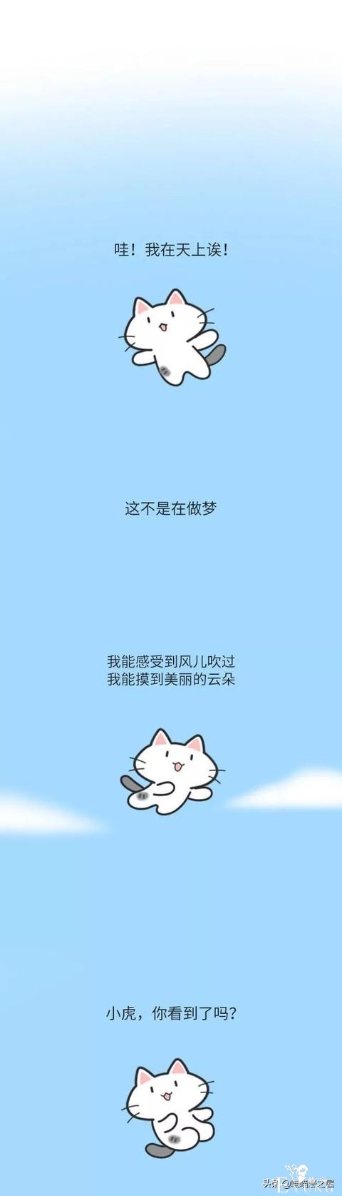 漫画：别傻了，宠物不会传播-4.jpg