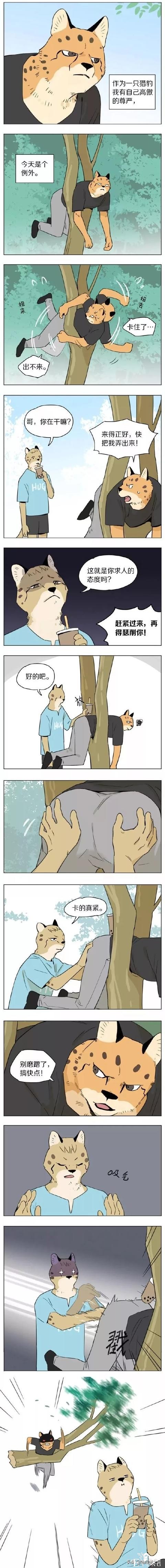 搞笑漫画：不要搞我了好伐-1.jpg