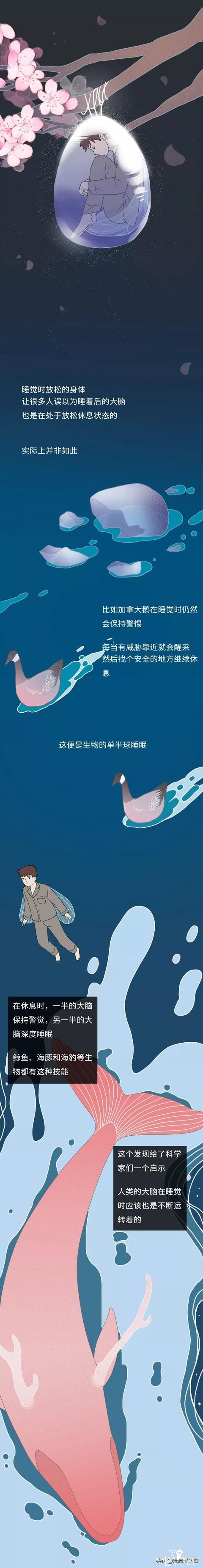 漫画《失眠》我只想好好睡一觉-3.jpg