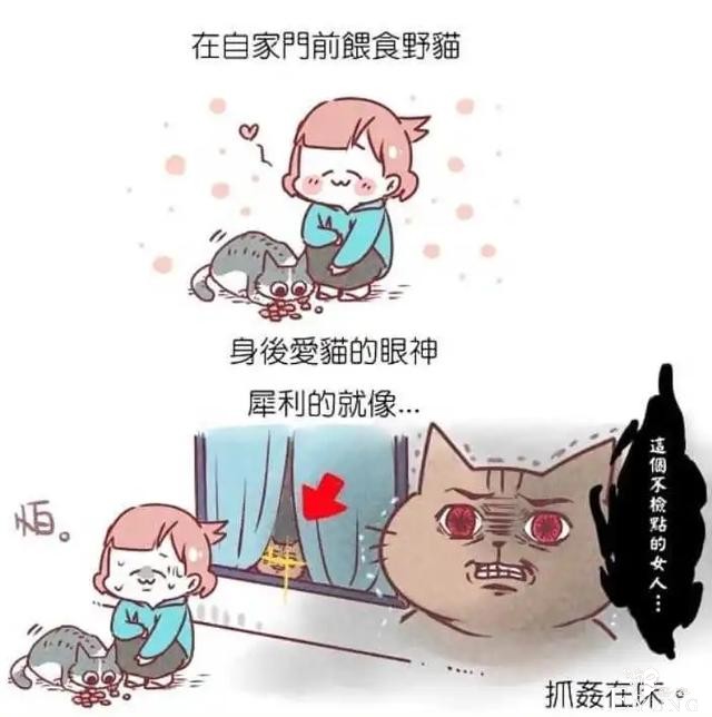 漫画之判罚太轻的乌龟-7.jpg