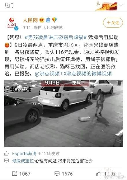 ACGN资讯：时隔6年，《记录的地平线》作者终于回来了-16.jpg