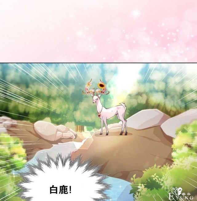 漫画：韩漫-女骑士的生存法则 15-28.jpg